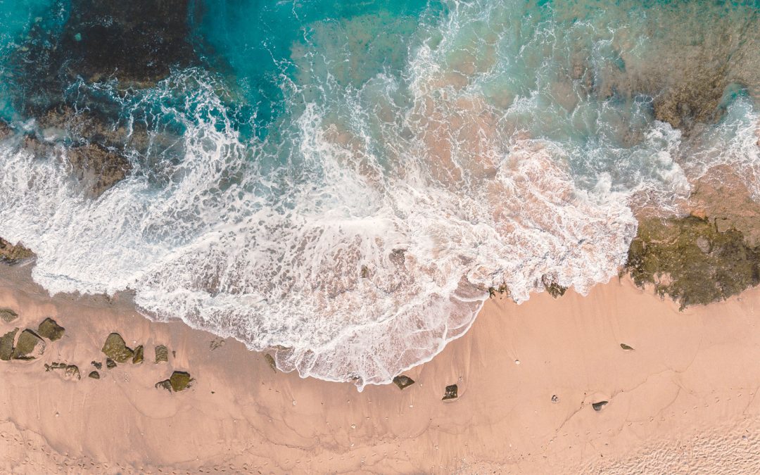 Not All Storms Disrupt. Some Clear Your Path